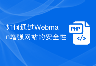 如何通过Webman增强网站的安全性