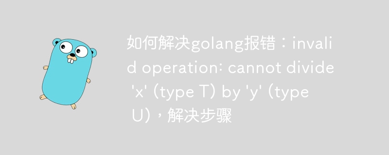 如何解决golang报错：invalid operation: cannot divide \'x\' (type T) by \'y\' (type U)，解决步骤