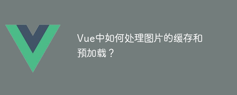 Vue에서 이미지 캐싱 및 사전 로드를 처리하는 방법은 무엇입니까?