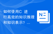 如何使用C++进行高效的知识推理和知识表示？