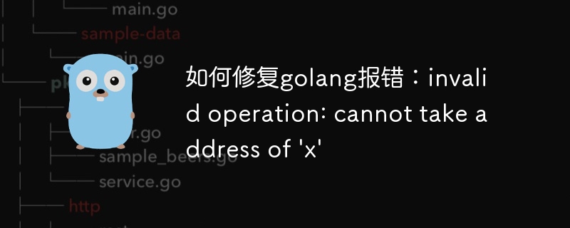 如何修复golang报错：invalid operation: cannot take address of \'x\'