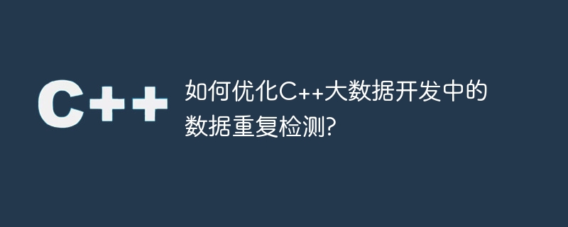 如何优化C++大数据开发中的数据重复检测?