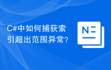 C#中如何捕获索引超出范围异常？