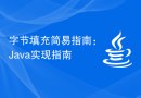 字节填充简易指南：Java实现指南