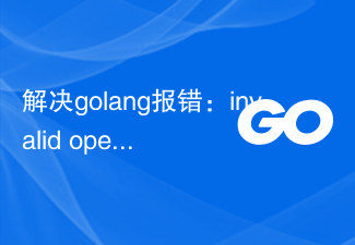 Golang-Fehler beheben: Ungültige Operation: Operator „x' nicht für „y' (Typ T) definiert, Lösungsstrategie
