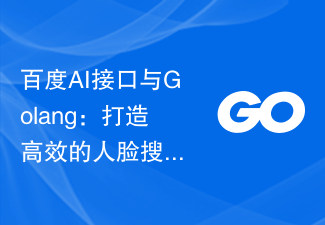 百度AI接口与Golang：打造高效的人脸搜索系统