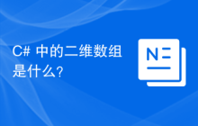 C# 中的二维数组是什么？
