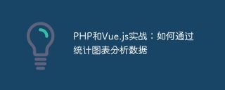 PHP和Vue.js实战:如何通过统计图表分析数据