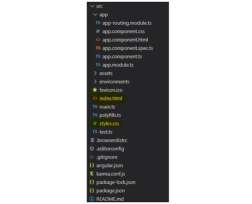 Angular 入门:基础知识