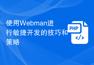 使用Webman进行敏捷开发的技巧和策略