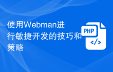 使用Webman进行敏捷开发的技巧和策略