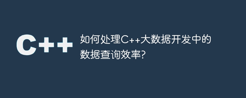 如何处理C++大数据开发中的数据查询效率?