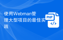 使用Webman管理大型项目的最佳实践