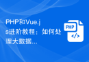 PHP和Vue.js进阶教程：如何处理大数据集的统计图表