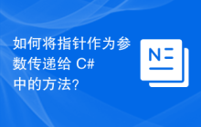 如何将指针作为参数传递给 C# 中的方法？