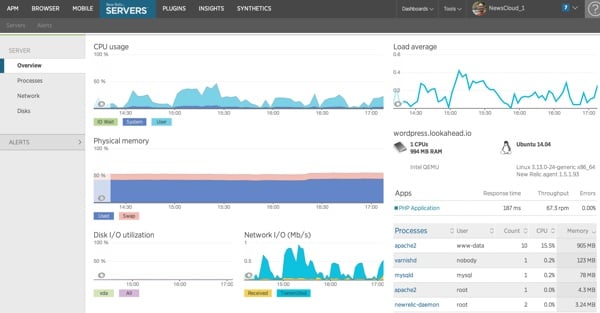 新しいレリックに関する WordPress のパフォーマンスの問題を診断する