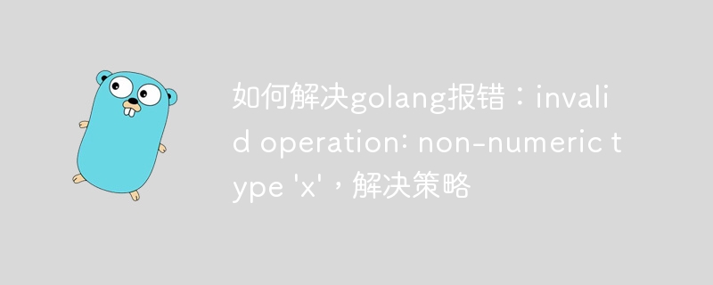 如何解决golang报错：invalid operation: non-numeric type 'x'，解决策略