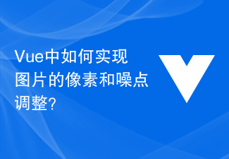 Vue中如何實現圖片的像素和雜訊調整？