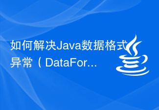 如何解決Java資料格式異常（DataFormatException）