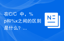 在C/C++中，%p和%x之间的区别是什么？