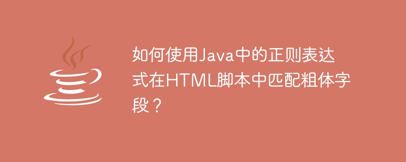 Java에서 정규 표현식을 사용하여 HTML 스크립트의 굵은 필드를 일치시키는 방법은 무엇입니까?