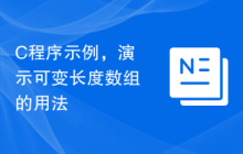 C程序示例，演示可变长度数组的用法