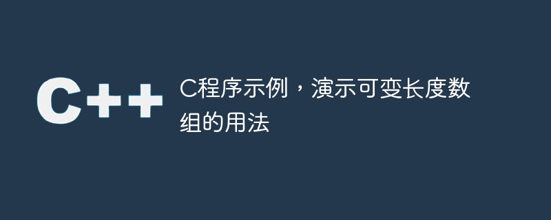 C程式範例，示範可變長度陣列的用法