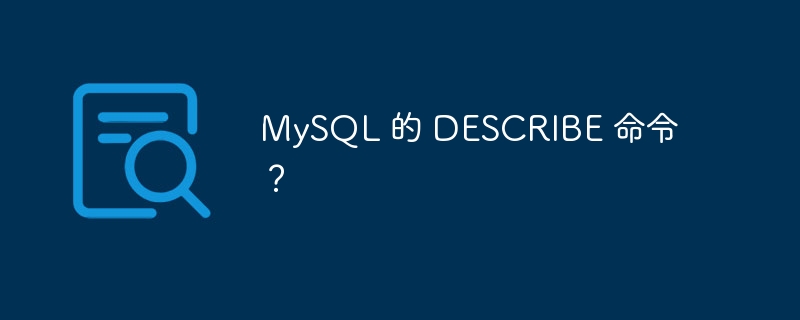 MySQL 的 DESCRIBE 命令？