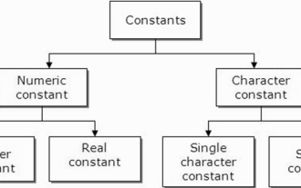 What are constants in C language? Can you give an example?