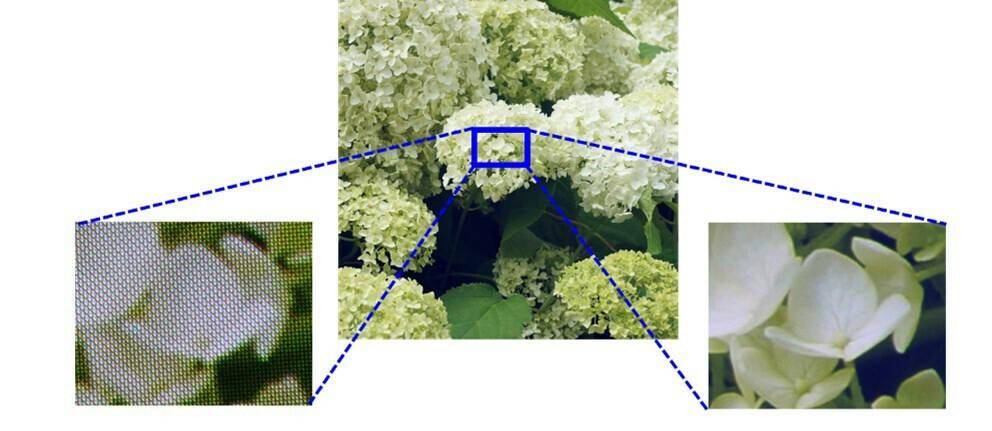 新标题：索尼发布1.3寸4K OLED微型显示屏，专为AR / VR场景而设计