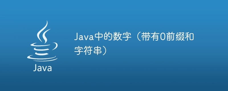 Java中的数字（带有0前缀和字符串）