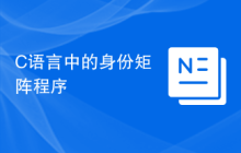 C语言中的身份矩阵程序