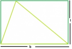 可以内切在一个矩形内的最大三角形的面积是多少？