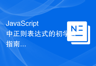 JavaScript中正規表示式的初學者指南