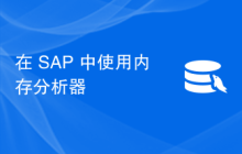 在 SAP 中使用内存分析器