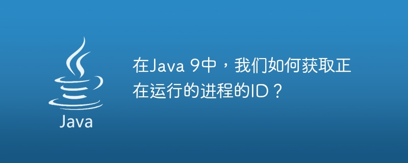 在Java 9中，我们如何获取正在运行的进程的ID？