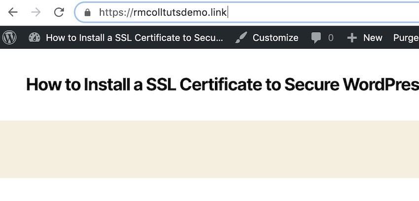 WordPress 보안: SSL 인증서 설치에 대한 단계별 가이드