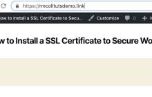 保护 WordPress 安全：安装 SSL 证书的分步指南