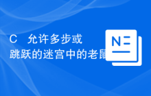 C++ 允许多步或跳跃的迷宫中的老鼠