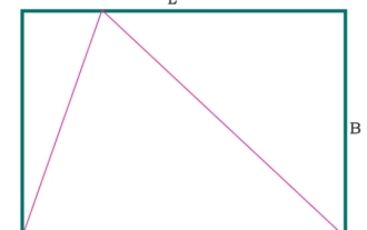 In a C program, translate the following into Chinese: What is the area of the largest triangle that can be embedded within a rectangle?