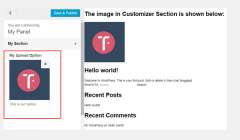 添加颜色类型和上传类型选项:Titan 框架初学者分步指南