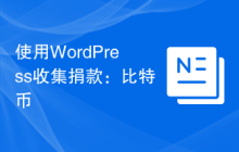 使用WordPress收集捐款：比特币