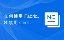 如何使用 FabricJS 禁用 Circle 的选择性？