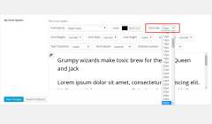 添加字体类型选项:Titan 框架初学者综合指南