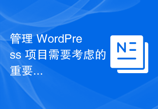 管理 WordPress 项目需要考虑的重要因素