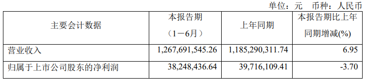 Les performances de Zhangyue Technology au premier semestre ont été gratifiantes : les revenus ont augmenté de 6,95 % et le bénéfice net attribuable à la société mère a atteint 38,2484 millions de yuans.