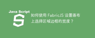 如何使用 FabricJS 设置画布上选择区域边框的宽度?