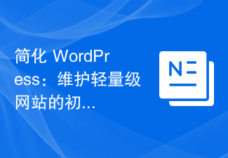 简化 WordPress：维护轻量级网站的初学者指南