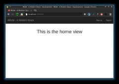 探索 MEAN 堆栈:简介