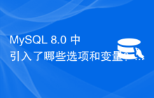 MySQL 8.0 中引入了哪些选项和变量？